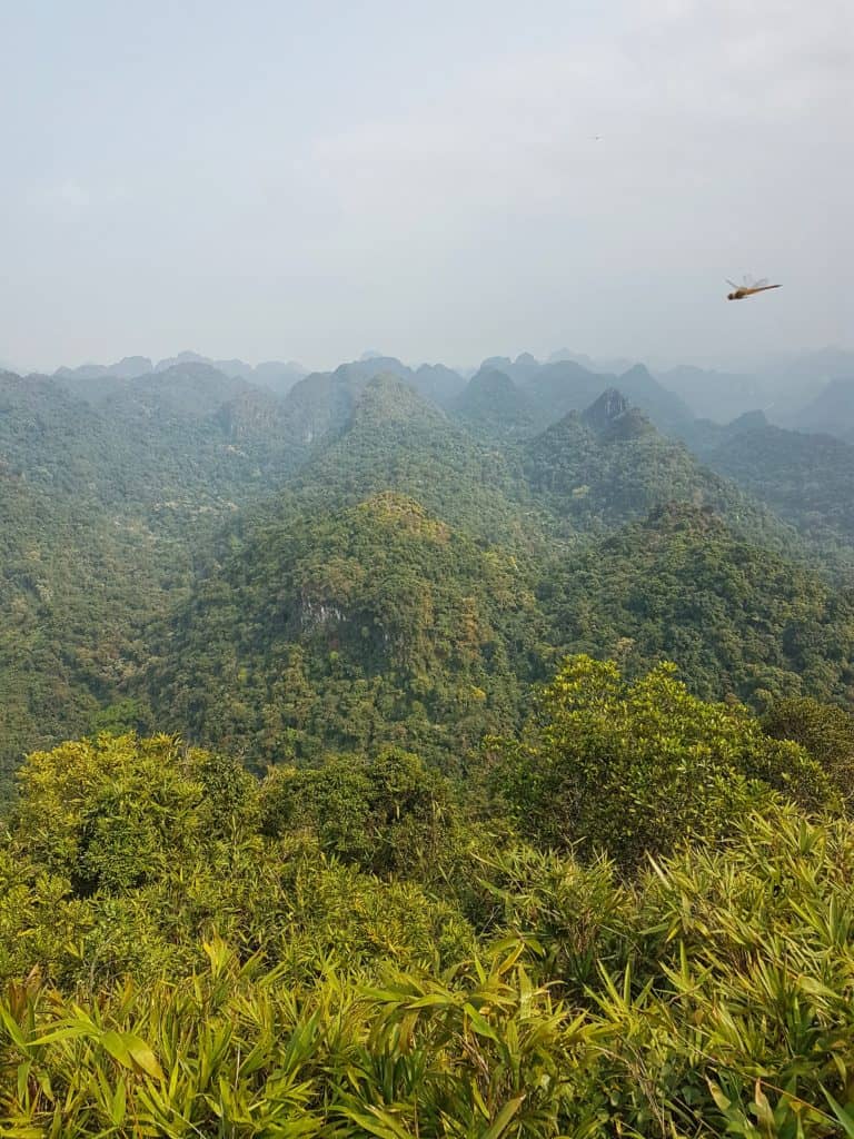 Cat Ba National Park