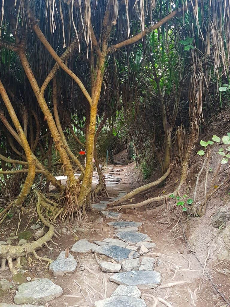 Walking around Cannon Fort, Cat Ba Island, Vietnam