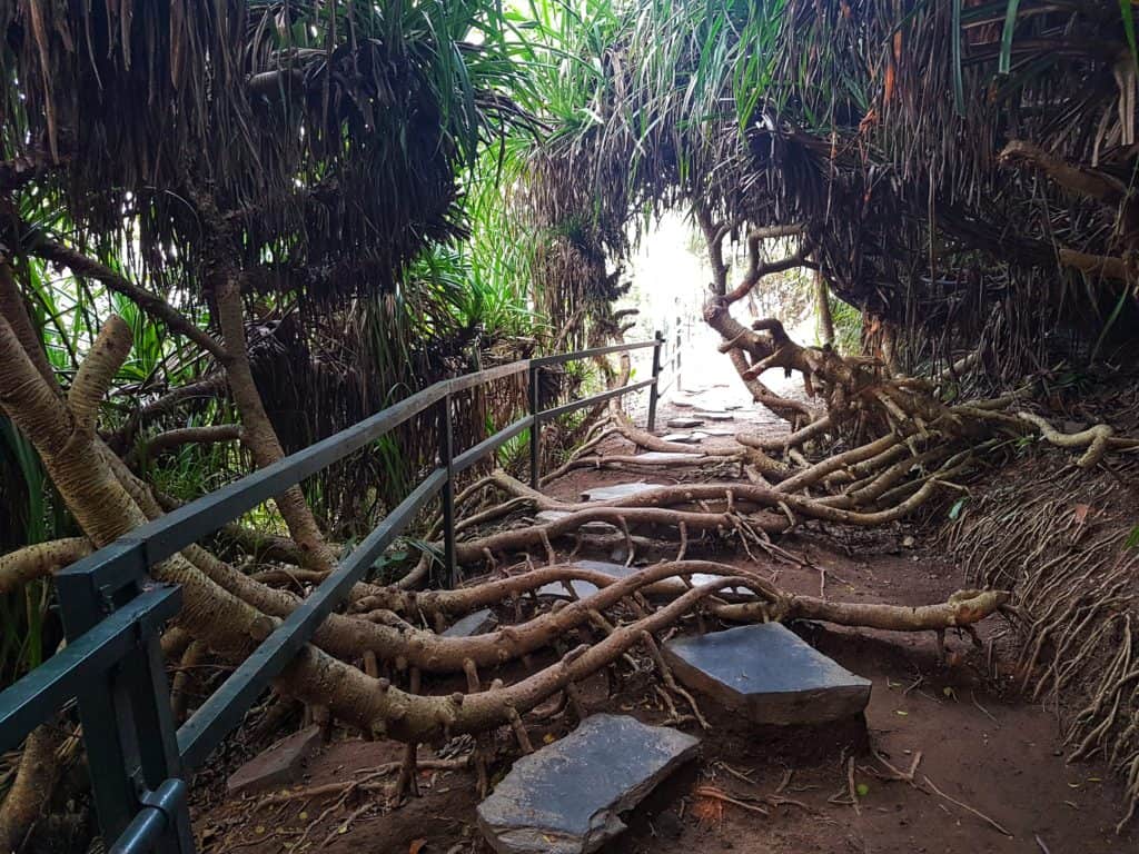 Walking around Cannon Fort, Cat Ba Island, Vietnam