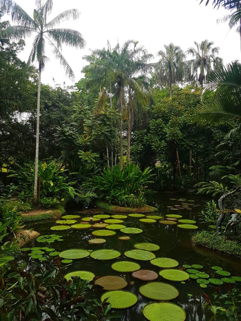 The Singapore Botanic Gardens